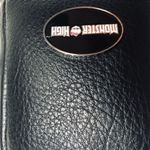 Monster High Frankie Stein “It’s Alive” Lightning Stripe Mini Backpack NWT Multiple Photo 6