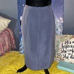 CHAUS NEW YORK NWT Chaus Size 12 Blue Silk Skirt Photo 5