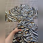 Bishop and Young  Paris Fall Zebra Tiger Stripe Dress Photo 7