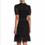 Velvet By Graham And Spencer  Black Dress Photo 1