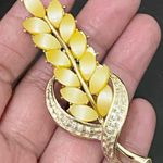 Vintage Unsigned Yellow Wheat Gold Photo 2