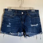 BLANK NYC π Dark Wash I Know What You Want Me Distressed Raw Hem Denim Shorts Photo 1