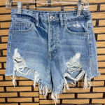 Vervet  Denim‎ Shorts Size Small Photo 0