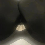 Felina  PARAMOUR BRA SIZE 32D Photo 1