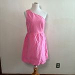 J.Crew  One Shoulder Pink Party Dress‎ Linen Blend Cocktail Size 8 Photo 1