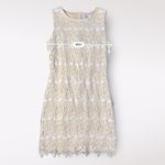 Belle Badgley Mischka Ivory Lace Sleeveless Knee Length Dress Size 10 Photo 3