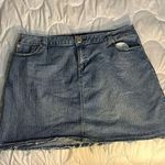 Blues Blues Size 18W Women’s Skirt Blue Photo 0