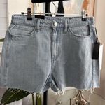BLANK NYC  Reeve Nonstretch High Waist Cutout Denim Shorts Photo 0
