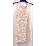 LC Lauren Conrad ✨Lauren Conrad Lace Slip Dress✨ Photo 1