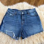 American Eagle  medium was distressed denim shorts Photo 0