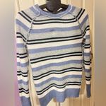 Caslon  Blue, White, and Black Striped Sweater Photo 2