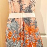 Anthropologie Like new Tabitha Dress Sz 2. Photo 1