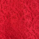 Kenar  lace lined shorts Photo 1