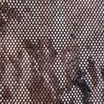 Windsor 🌈  Crop Top Photo 1