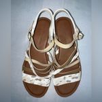 Toms Beige Abstract Cow Print Photo 1