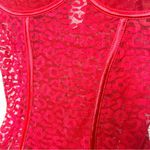 NWT Spree Intimates Pink Lace Sheer Mesh Push Photo 5