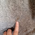 Pendleton  Wool N Silk Blend Gray Trousers Lined Work Business Womens 16 Photo 4