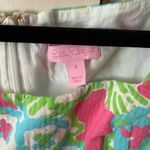 Lilly Pulitzer  Mini Dress Photo 3