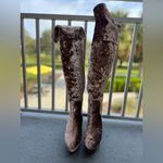 Nwt Rouge Helium Taupe Velvet High Heeled Boots Women’s Size 11 Shoes Pink Photo 1