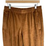SKIMS NWOT Classic Velour Joggers in Copper Brown Size L Photo 2