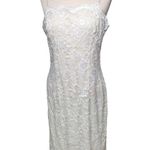 Alyn Paige Vtg 1990s Beige Floral Lace Spaghetti Strap Bodycon Mini Dress 11 12 Photo 1