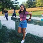 Levi's High Rise Shorts Photo 3