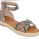 a.n.a NWOT  Womens Blaze Ankle Strap Flat Sandals Photo 0