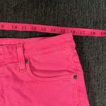 Big star  1974 Pink Shorts Size 29 Photo 6