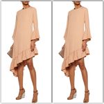 Walter Baker NWT  Nude Asymmetrical Dress Photo 1