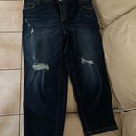 Anthropologie Pilcro The Borrowed Boyfriend Jeans Photo 5