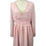 Pastel Pink Smocked Waist Pom Pom Long Sleeve Dress‎ Size Large Photo 8
