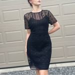 Mango  Suit Black Crochet Eyelet Dress Size 8 Photo 1