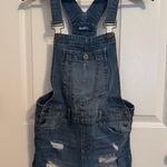 Blue Spice  Overall Shorts Photo 0