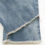 American Eagle American Engle Outfitters Tomboy skinny jeans Photo 9