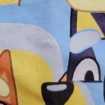 Bluey T Photo 3