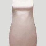 Aritzia passion dress Photo 1