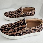 Steve Madden  Women's Gills Slip-On Sneaker Cheetah Print Size 6.5 Photo 1