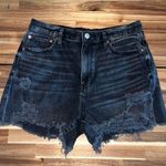 American Eagle  90’s Boyfriend Shorts Size 10 Photo 0