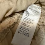 American Eagle  Cropped Photo 2