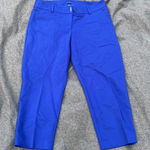 Apt. 9 . Torie Blue Capri Pants SIZE 8 Photo 0