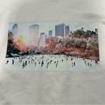 Terez NEW  Crewneck Sweatshirt Central Park Ice Rink Graphic Sequin Sleeve Size M Photo 1