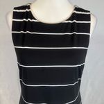 CHAUS NEW YORK Chaus black and white multi stripe stretchy sheath dress size small Photo 1