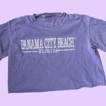 Vintage y2k Distressed Lavender Panama City Beach Florida Crop Top 🔥 Purple Size undefined Photo 0