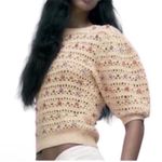 ZARA  Beige Beaded Sweater(Size Small) Photo 0