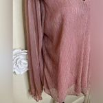Entro NTM: Metallic Ruffle Sheer Blush Pink & Gold Blouse Size Large Photo 7