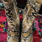 Pretty Little Thing  Photo 0