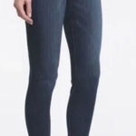 Pistola Pistols Arielle Skinny Jeans Medium Wash Moody Blue Ankle Mid Rise 18W 0362 Photo 0
