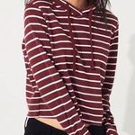 Hollister Striped Hooded Crop Top in Burgundy size S Photo 0