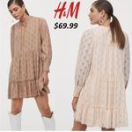 H&M Nude Long Sleeve Tie Neck Chiffon Textured Mini Airy Dress Size Small Photo 1