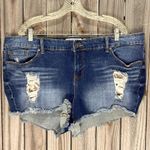 Torrid  Distressed Jean Shorts with Frayed Hem cotton blend plus size 22 Photo 0